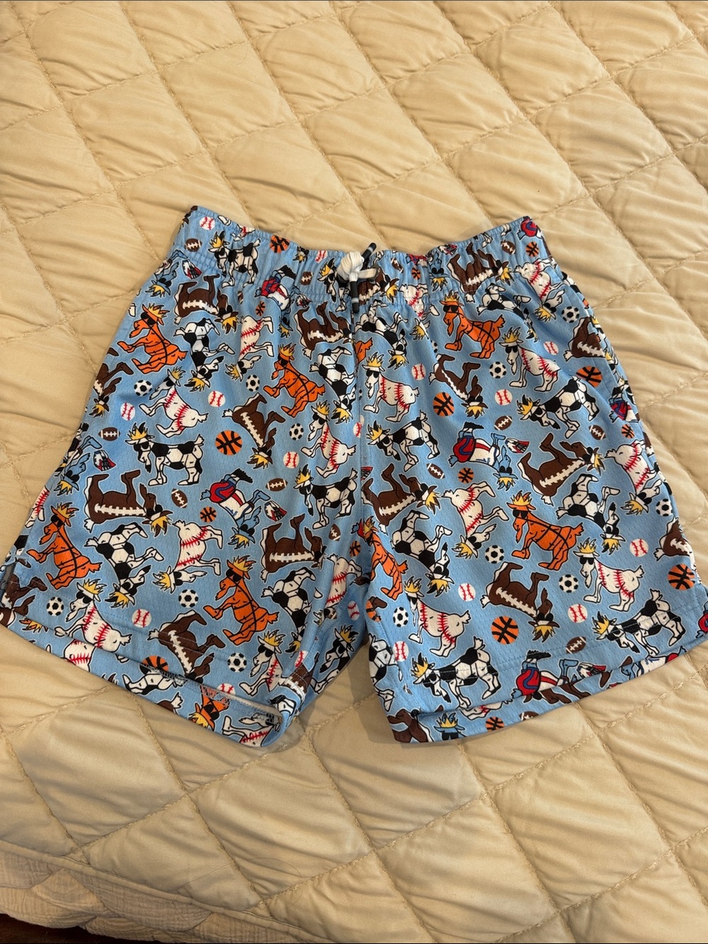 Kids Light Blue Athletic Shorts with Sports Animal Print